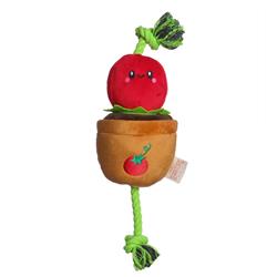 Extra Product Image